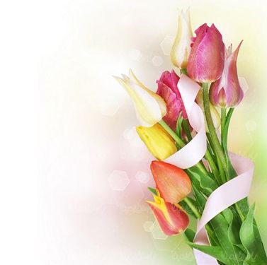گل طبیعی