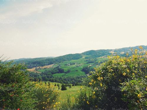 طبیعت بهاری