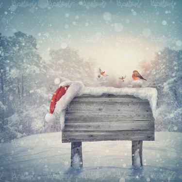 winter