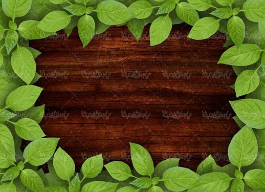 پس زمینه چوبی