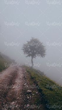 هوای مه آلود