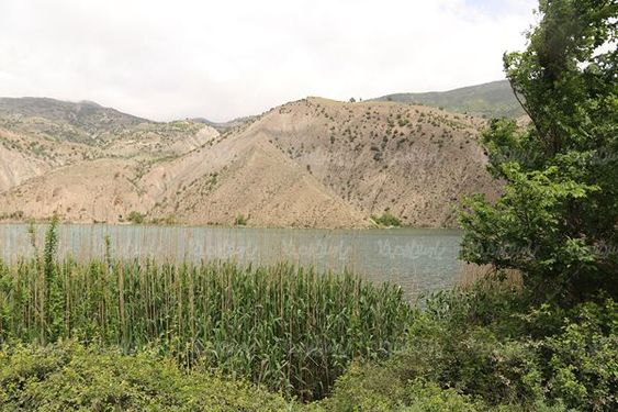 دریاچه ولشت