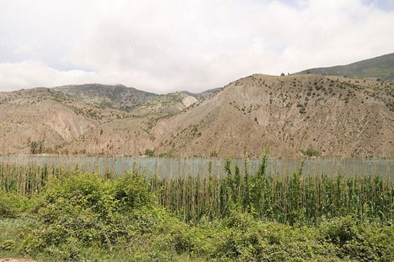 دریاچه ولشت