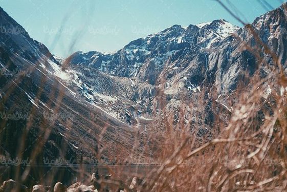 کوه