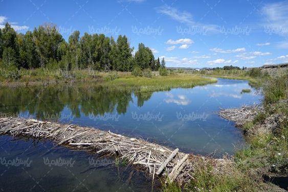 رودخانه