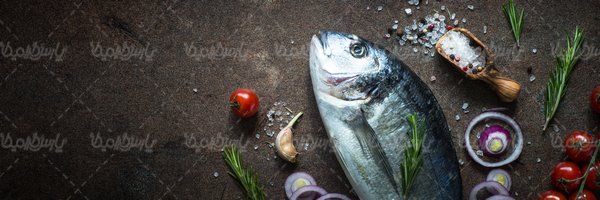 fish meat