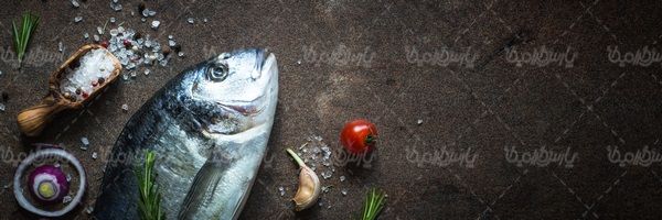 fish meat
