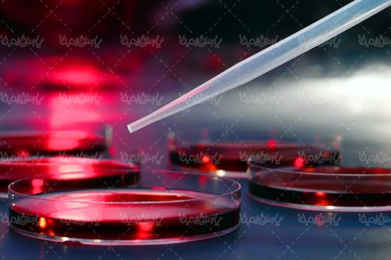 آزمایشگاه