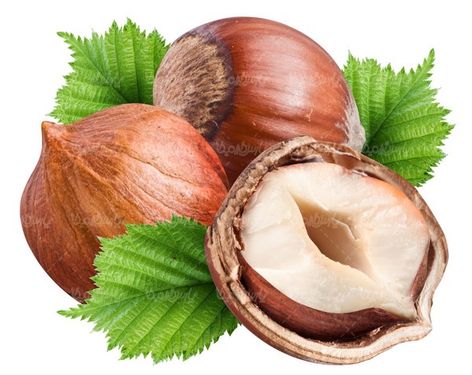 فندق