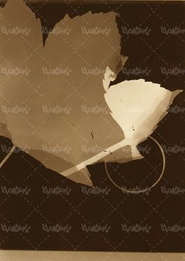 بک گراند