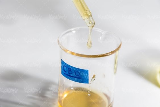 Laboratory