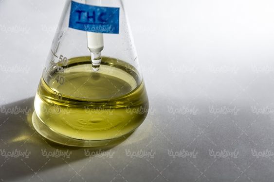 Laboratory