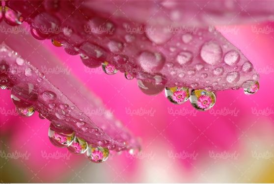قطره آب