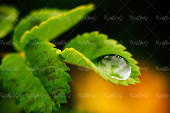 قطره آب