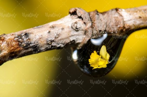 water drop