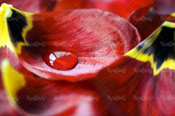 water drop