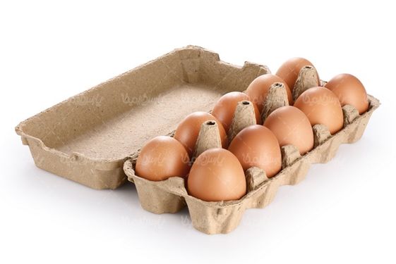 تخم مرغ محلی