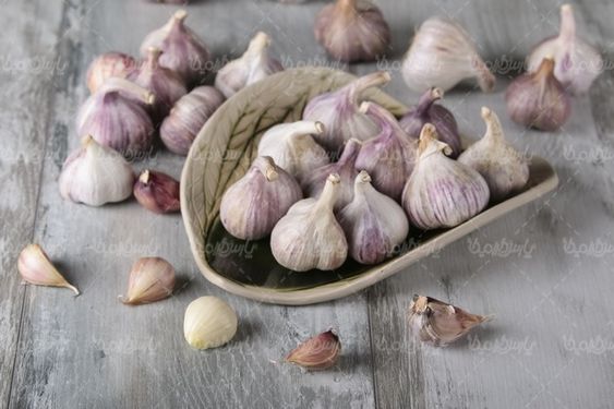 سیر