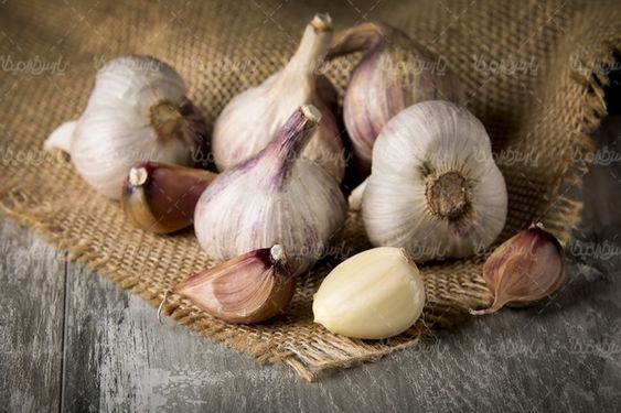 Garlic