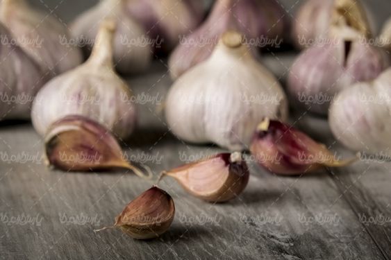 Garlic