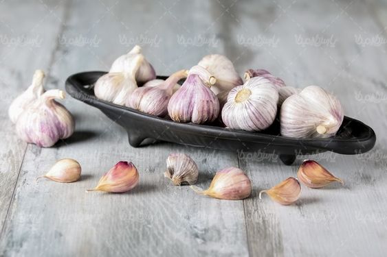Garlic