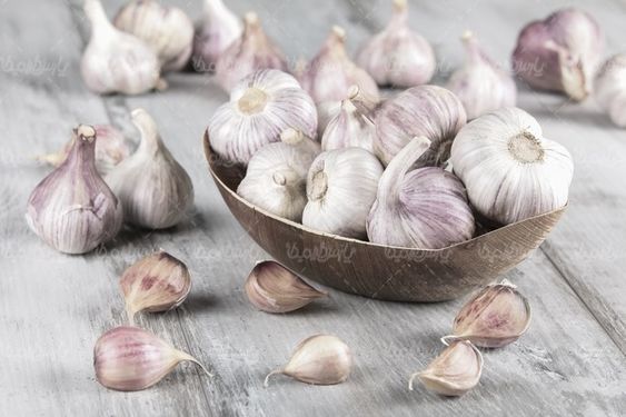 Garlic