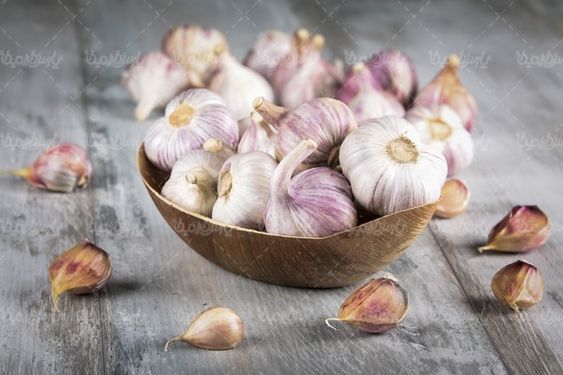 Garlic