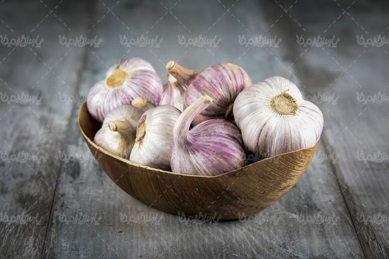 Garlic