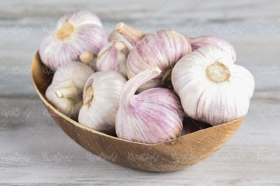 Garlic