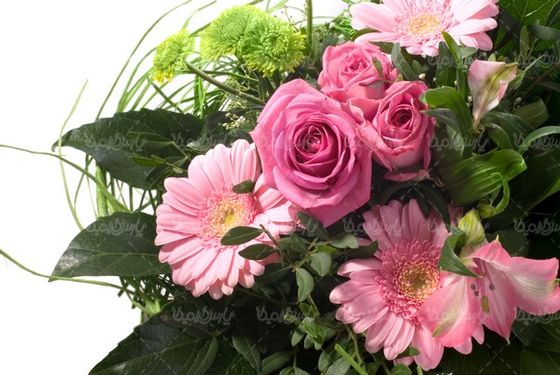 florist