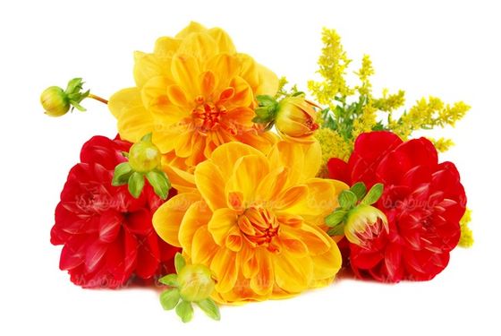 florist