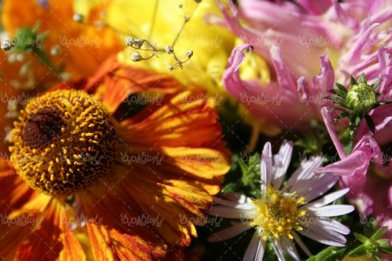 florist