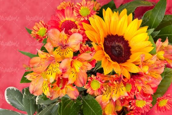 florist