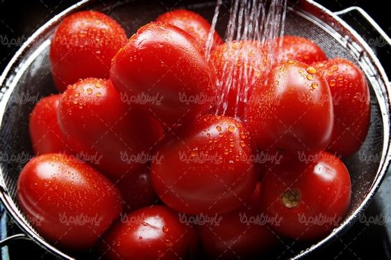 گوجه فرنگی