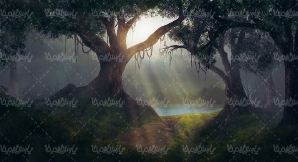 چشم انداز