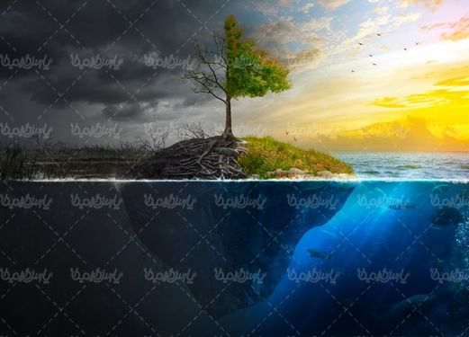 منظره