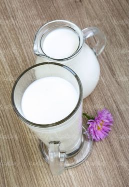 شیر گاو