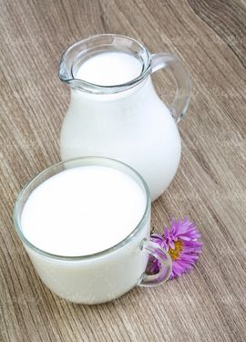 شیر گاو