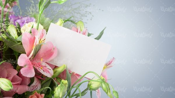 گلفروشی