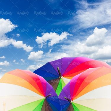 Umbrella
