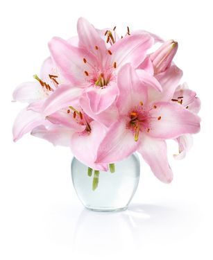florist