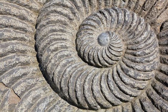 Spiral image