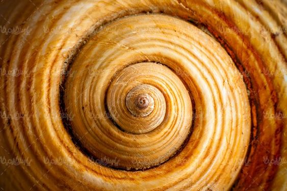 Spiral image