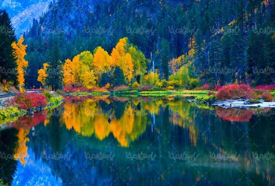 فصل پاییز