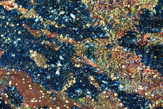 texture