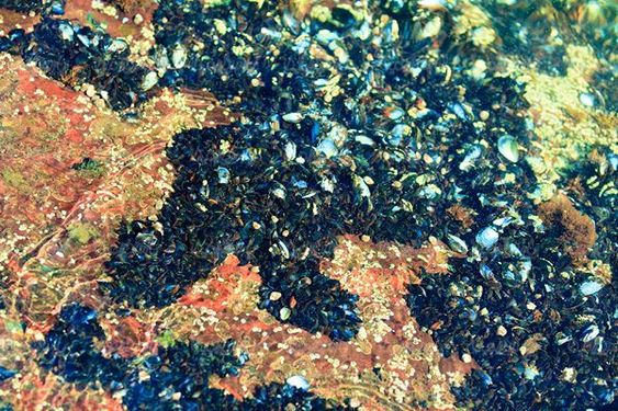 texture