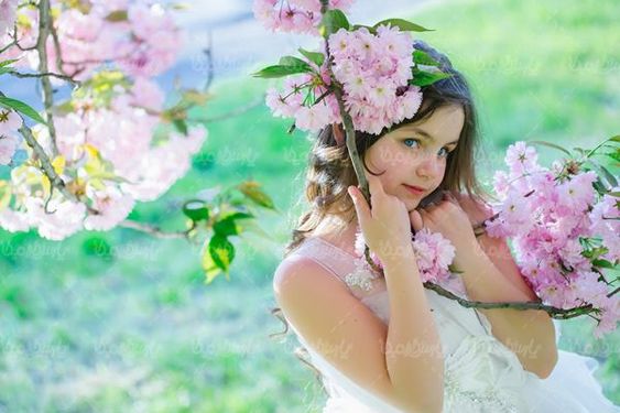spring bloom