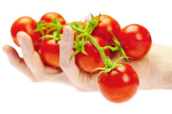 رژیم غذایی