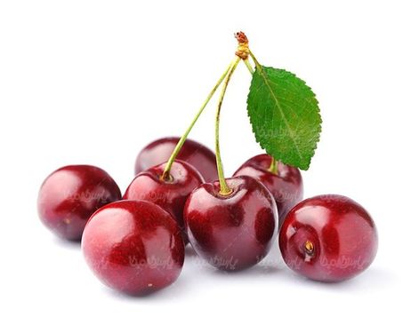 گیلاس