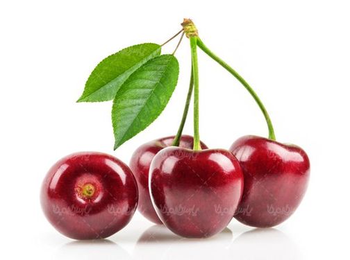 گیلاس